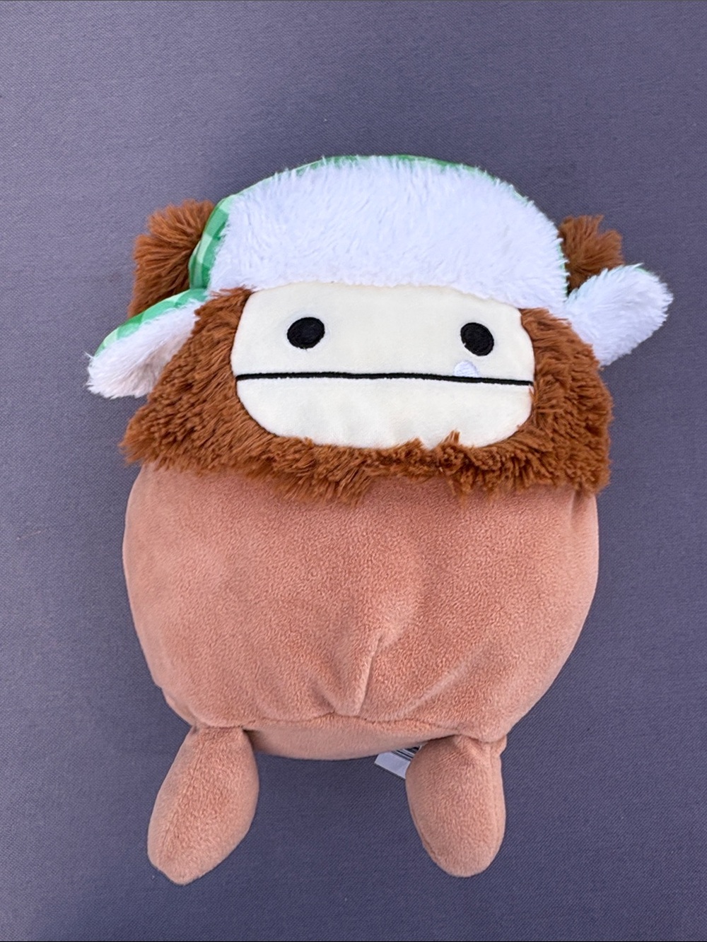 Squishmallows Plush Small Pet Toy in Brown with White and Green Accent